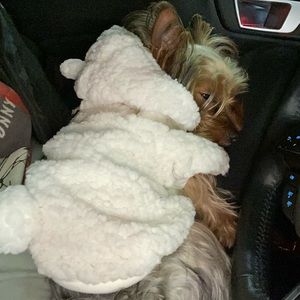 Meet your Posher, Angela